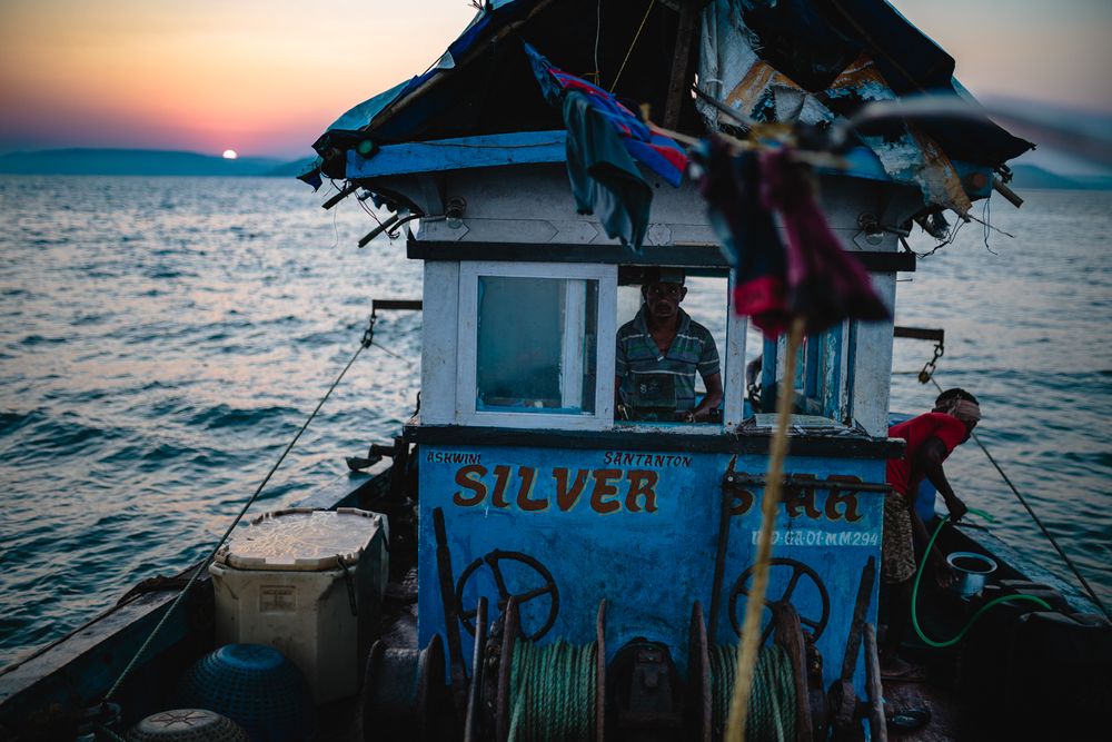 The Fishermen