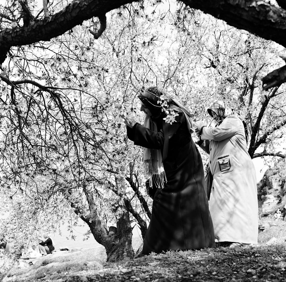 Eastern Anatolia *