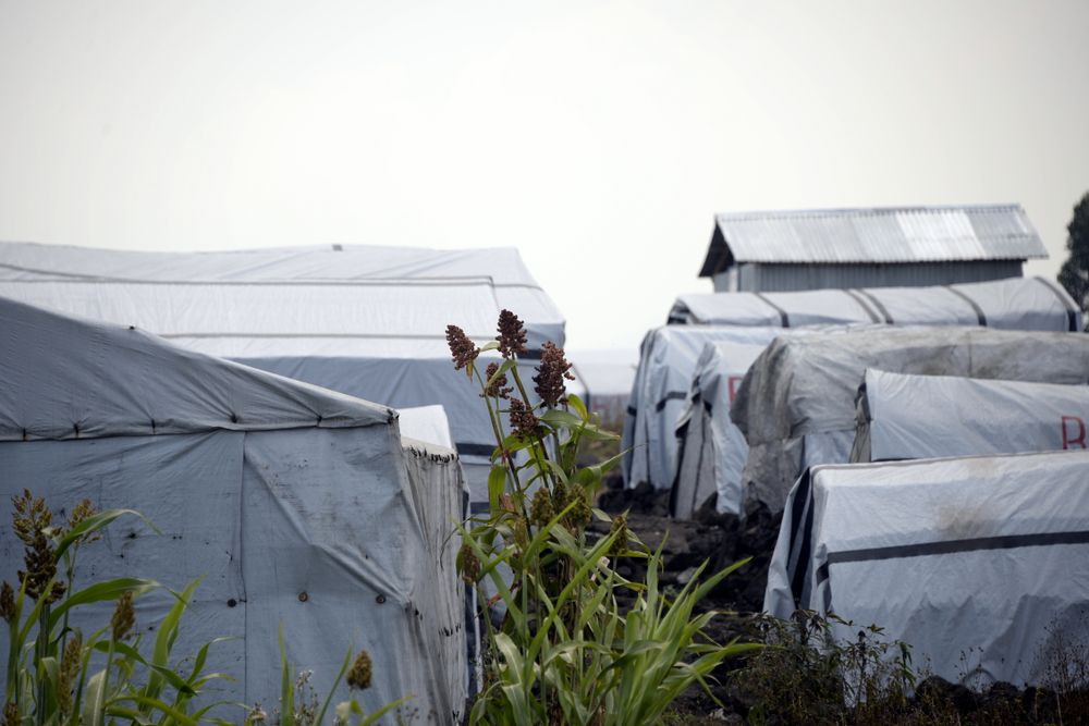 Internally Displaced Women of Eastern Congo