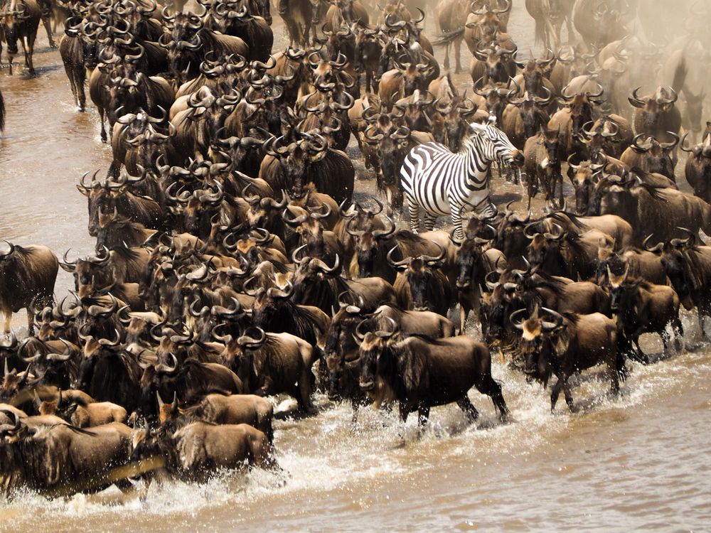 Surrounded