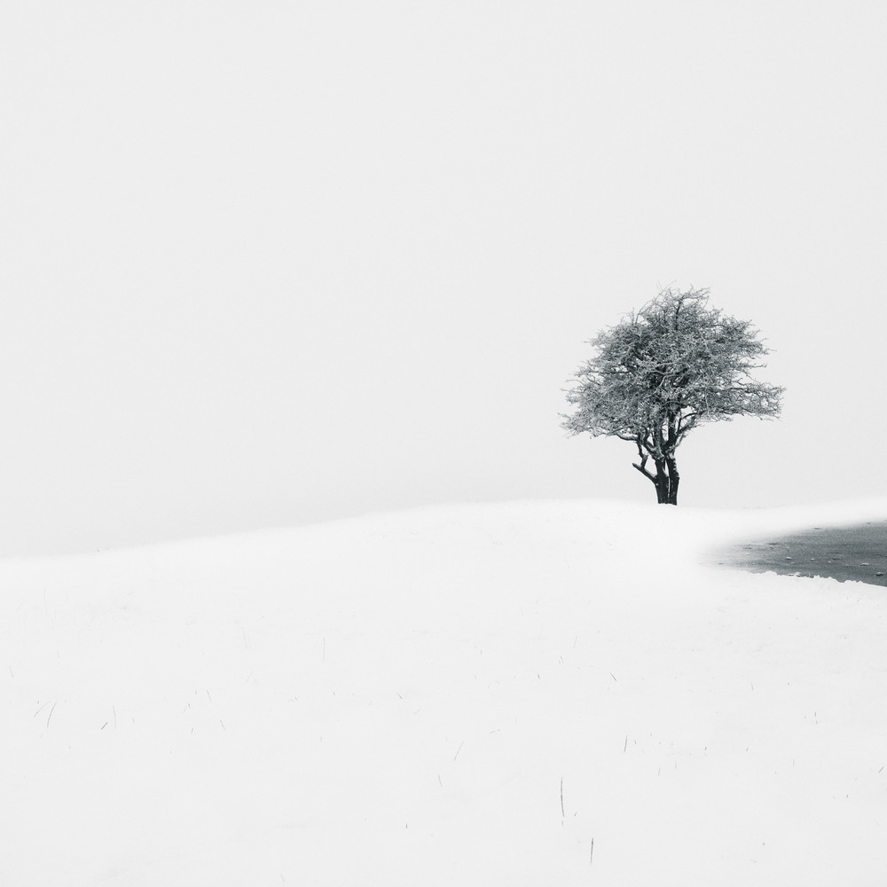 First Snow