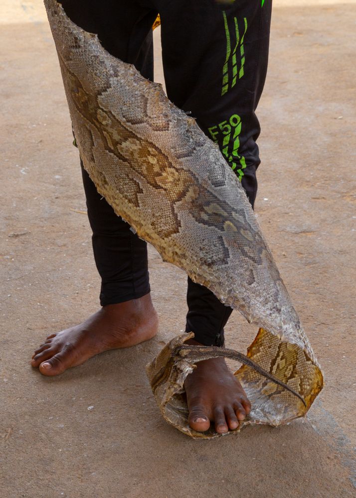 Akodessawa