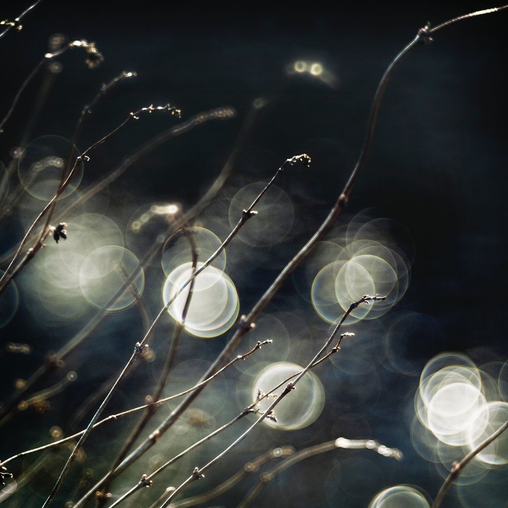 Elements