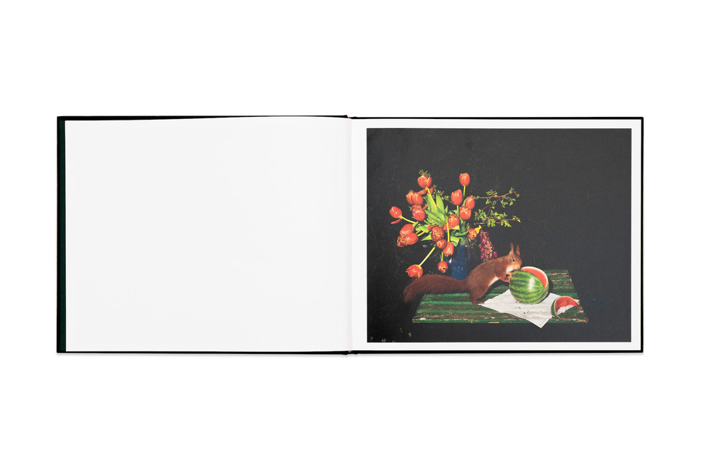 Spread from "Plates I-XXXI" © Lia Darjes/Chose Commune