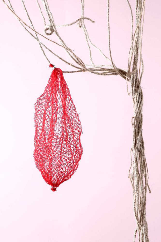 La imagen mariposa / The butterfly image