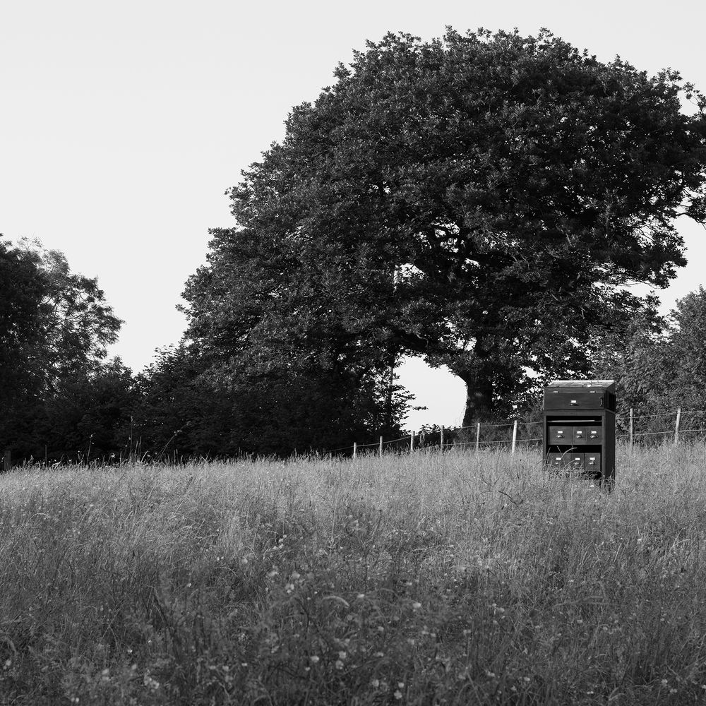 A landscape within a landscape.
