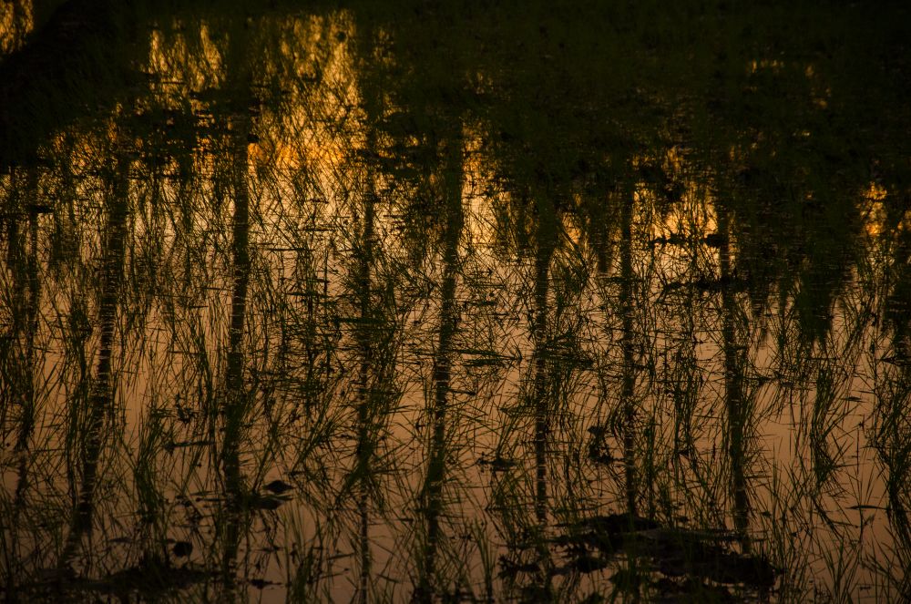 Echoes & Stillness
