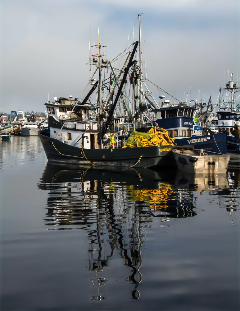 Holly Cordial Fishermans Terminal in Winter LensCulture