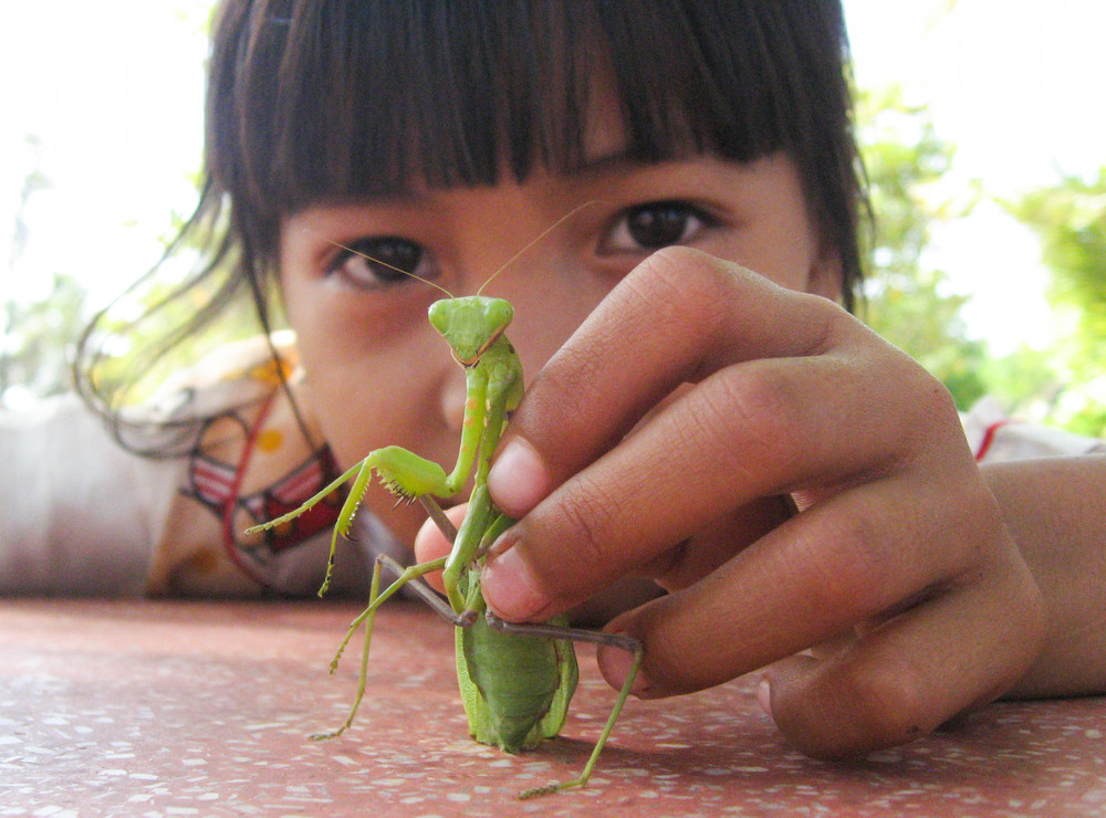 Souvenirs from South-East Asia