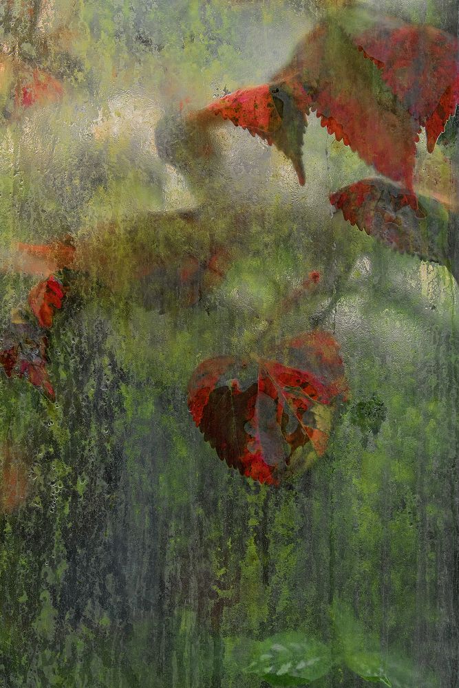 Glasshouse Windows onto an Exotic World 