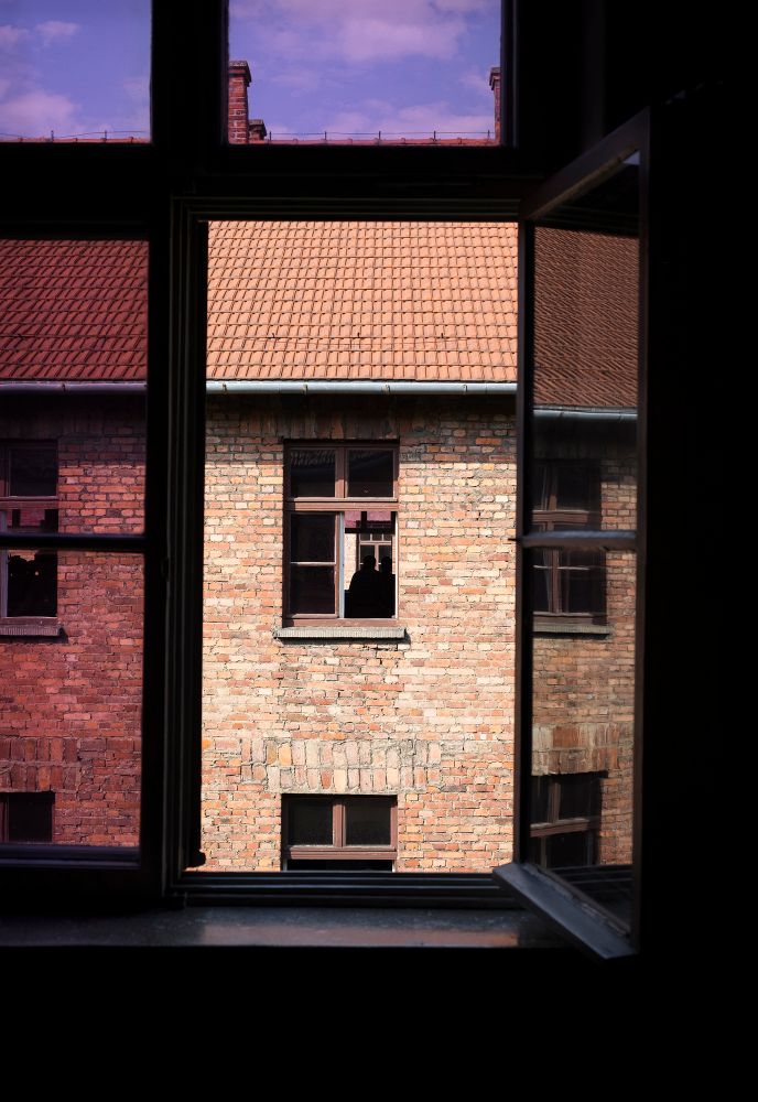 Windows In Auschwitz