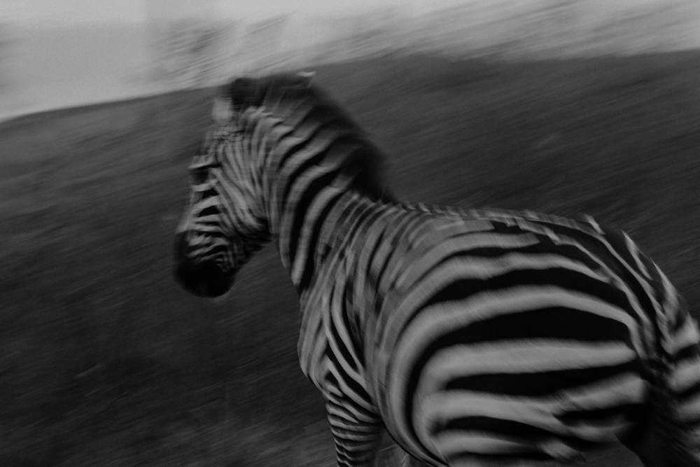 Black and white