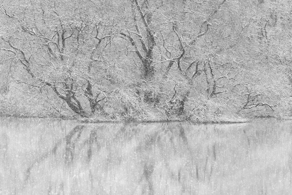 Cross section of my B&W photography I