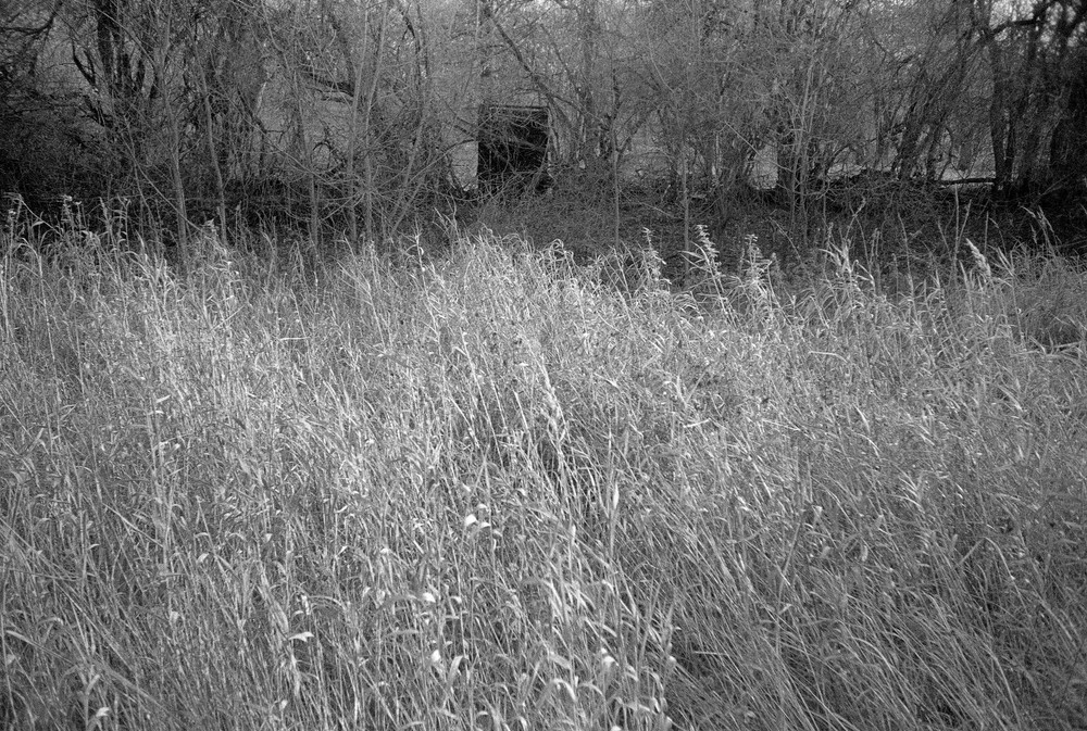 "The Internal Landscape"