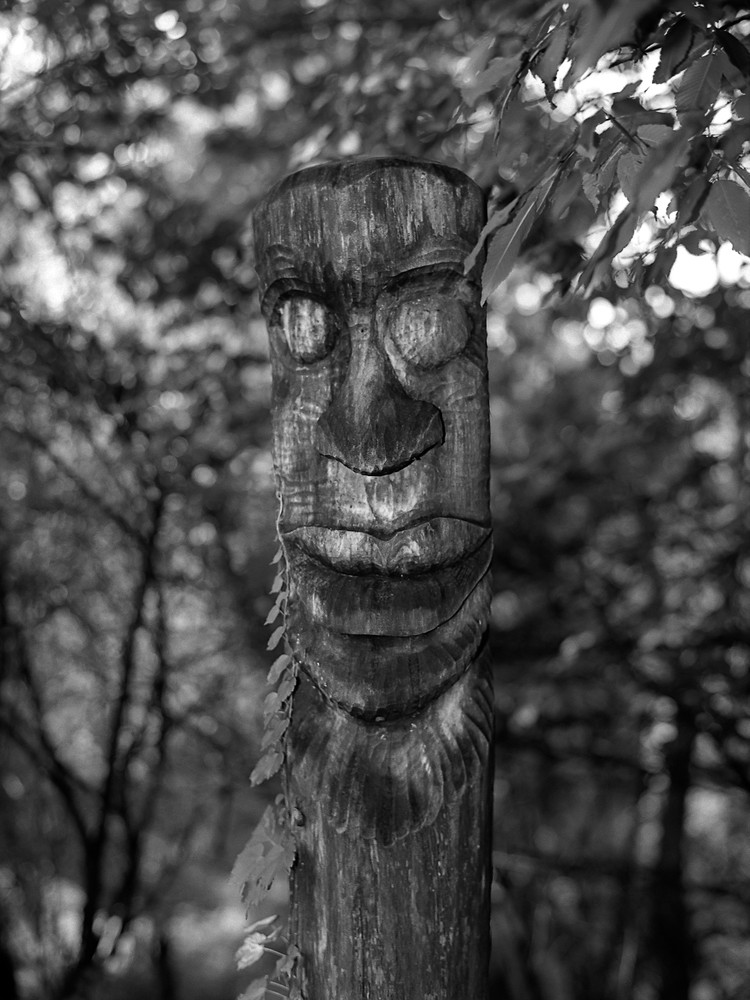 Jangseung - Guardian