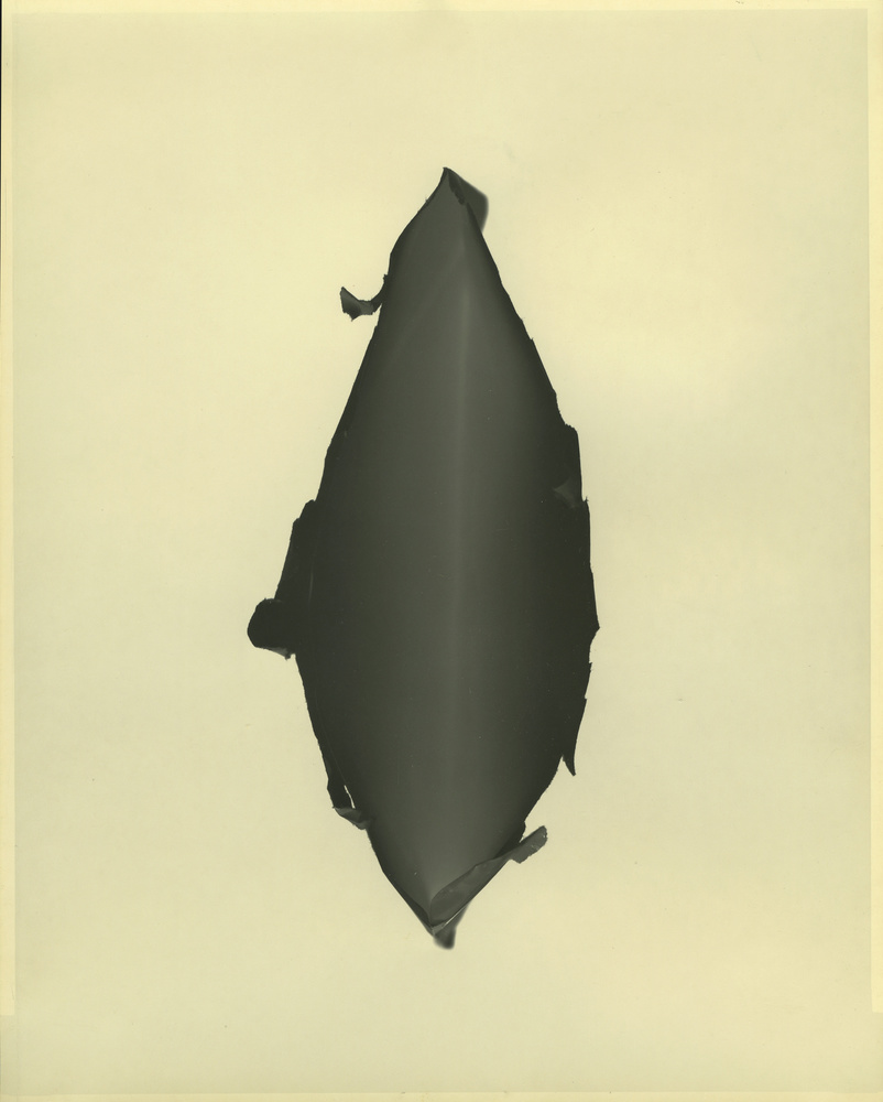 Paper Negatives