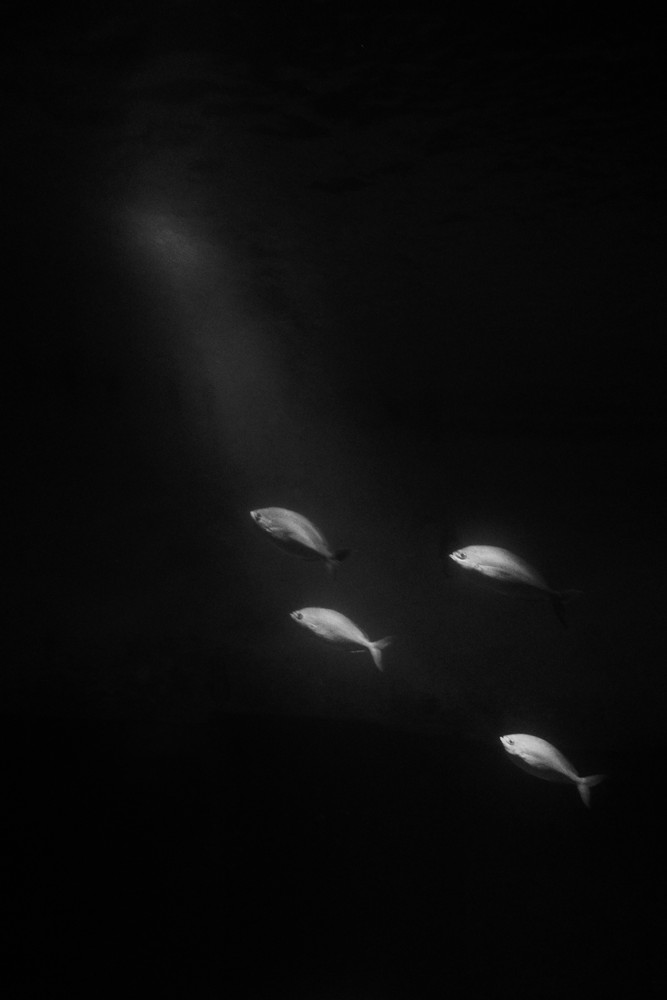 Art of Floating 
