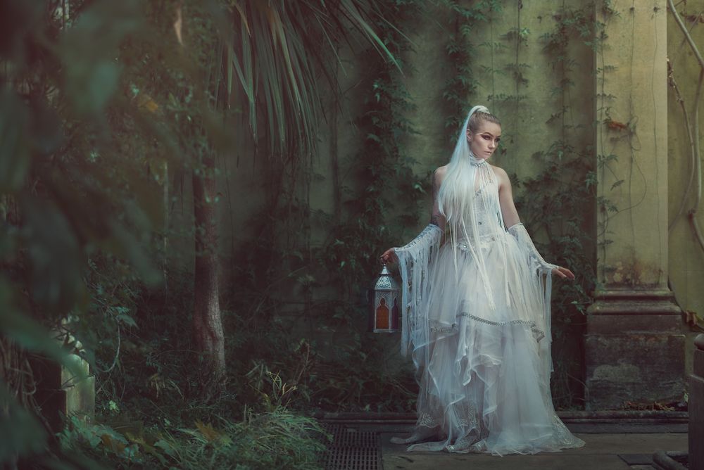Forgotten Brides