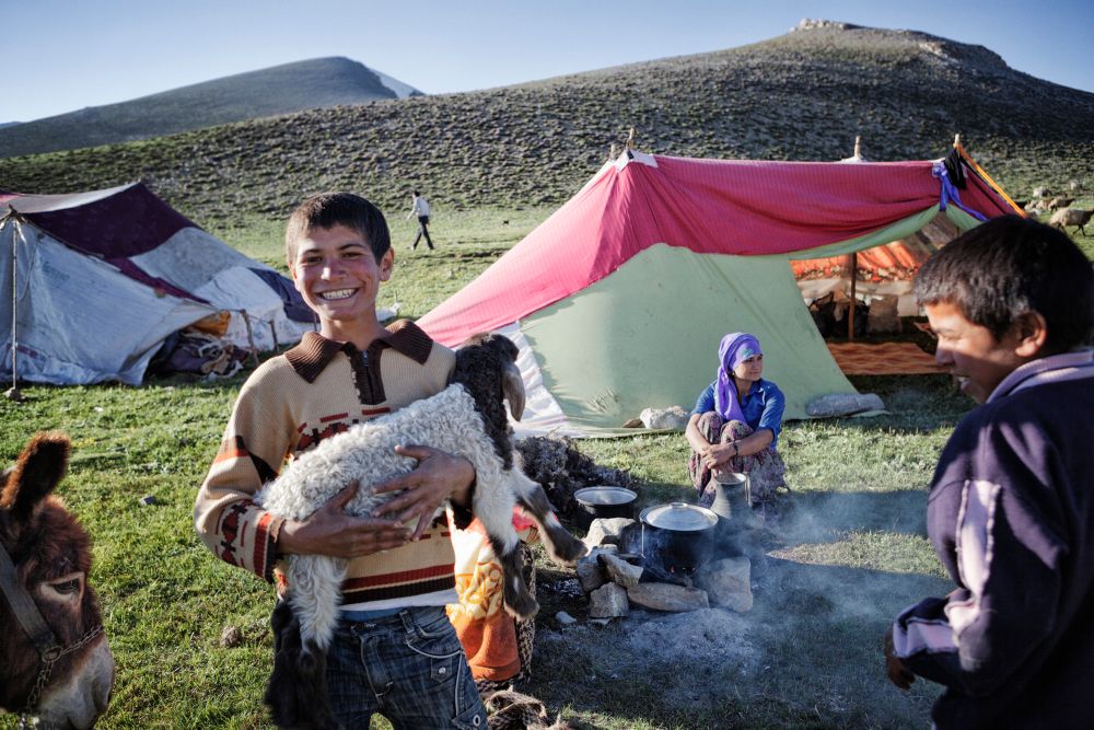 The Nomads