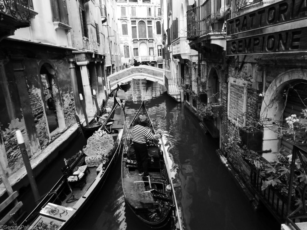 Venetian Shades