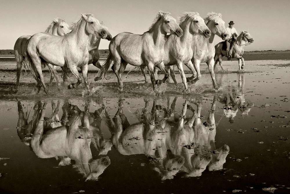 Gardians of the Camargue
