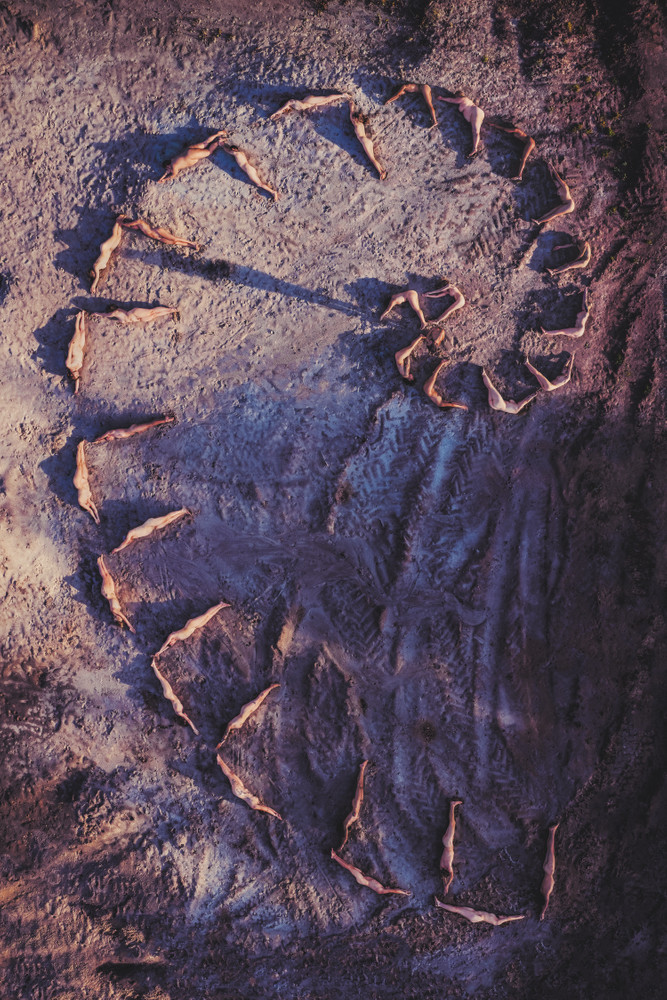 ORIGINS OF CREATION - HEALING HUMAN ROOTS