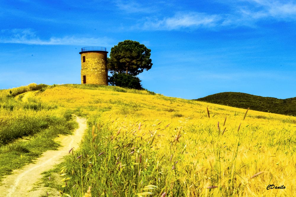 Campagne e borghi 