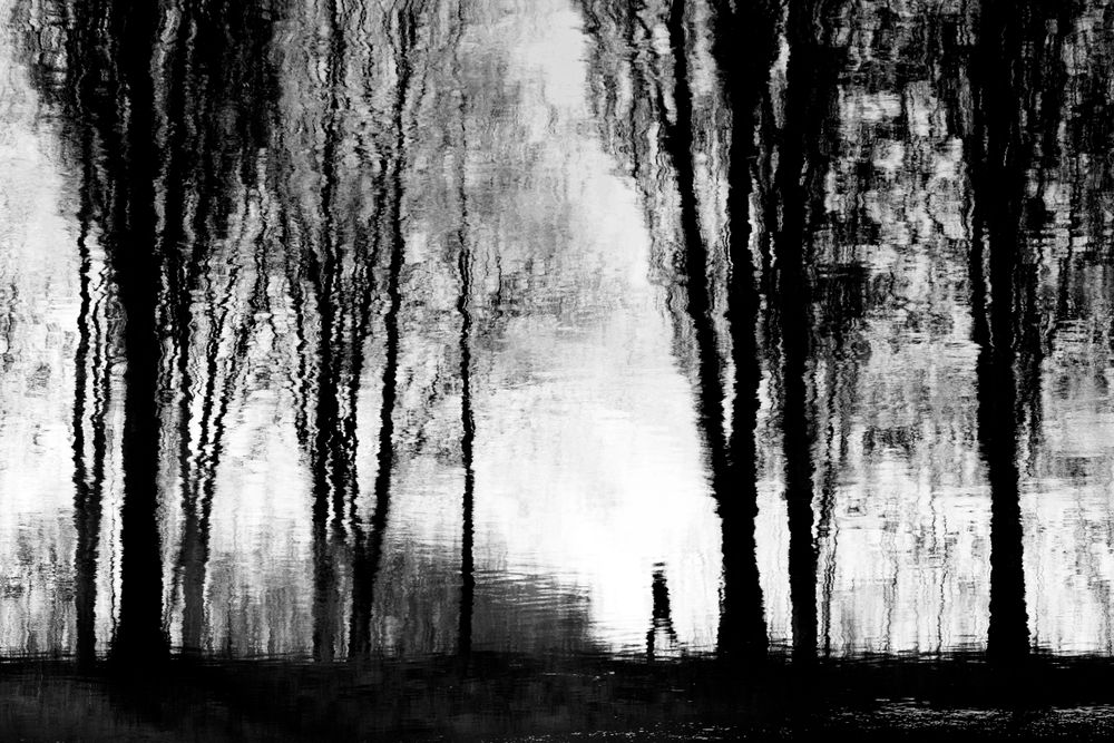 BW photo