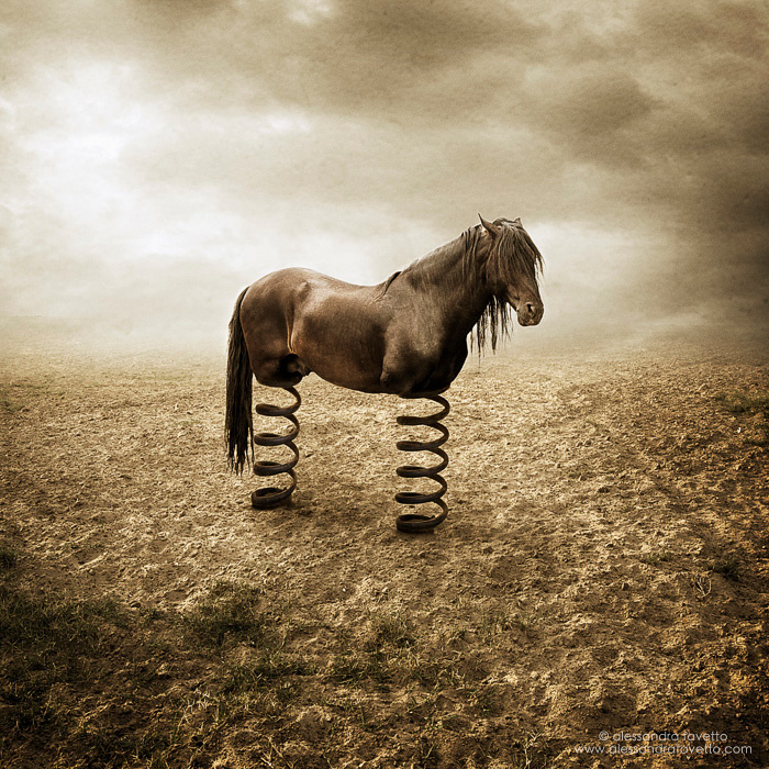 Allegories of life, lessons of nature