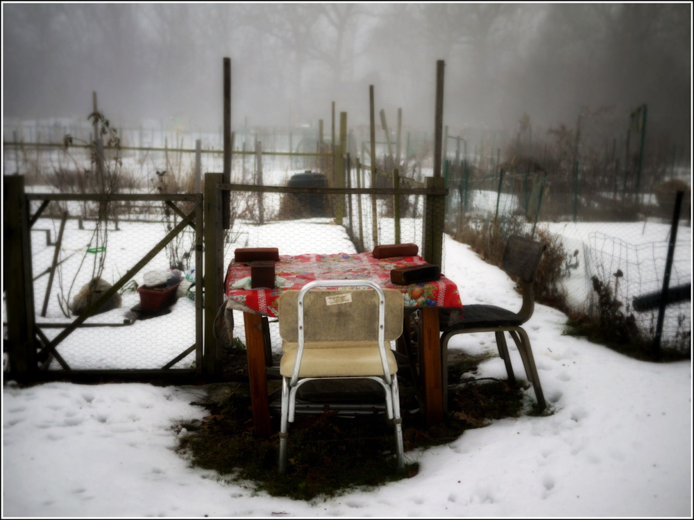 The Community Gardens