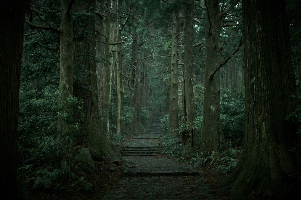 Roads since ancient times