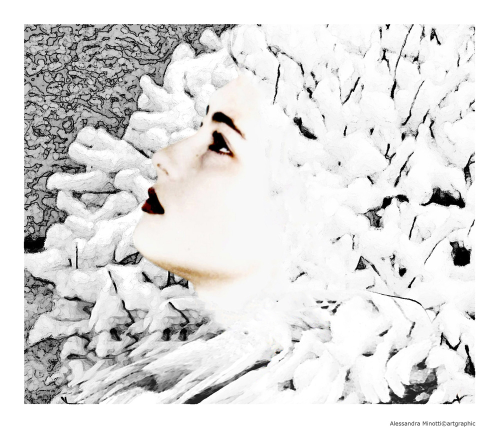 By E6 to C41: The Immaterial lightness of white , and others..