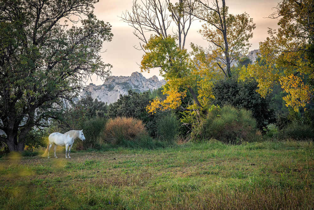 Alpilles Kontraste