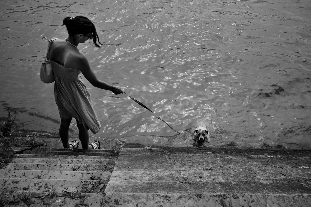 Seine Summer Streets
