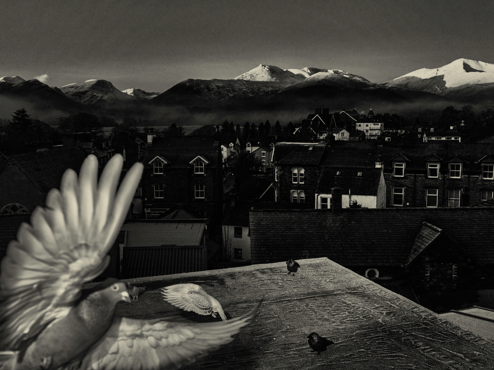 Landscapes- a reading.