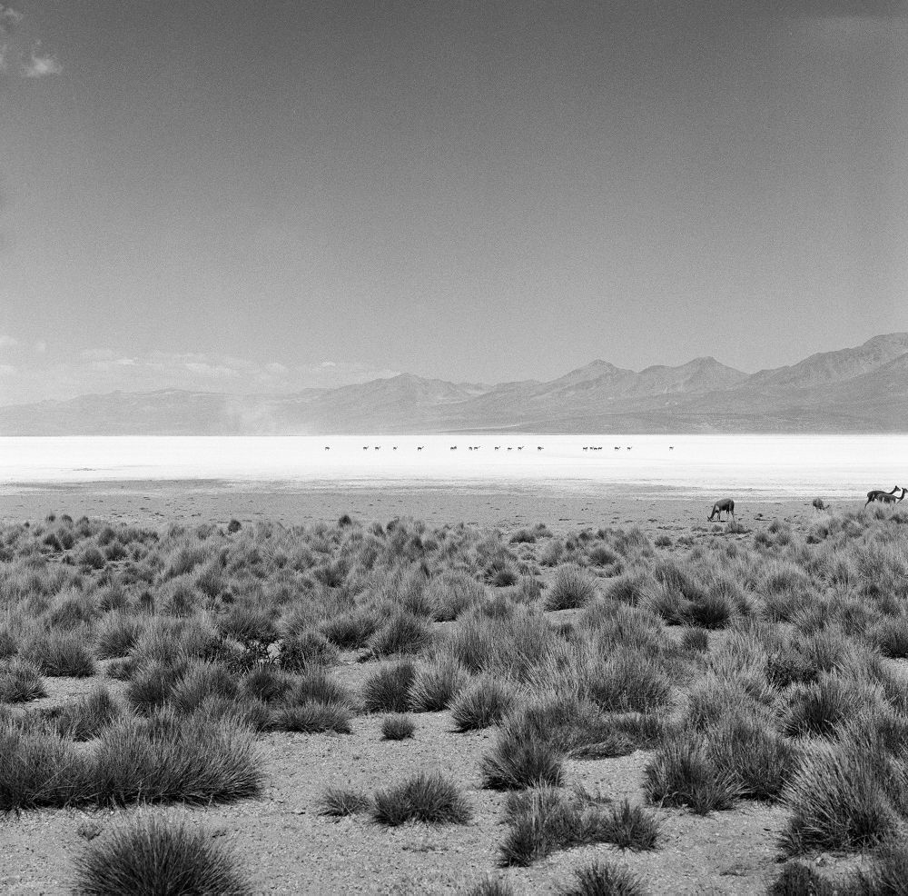 Topographic Studies : Salt