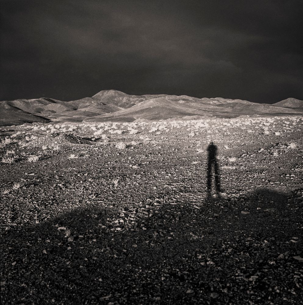 IN SEARCH OF SHADOWS