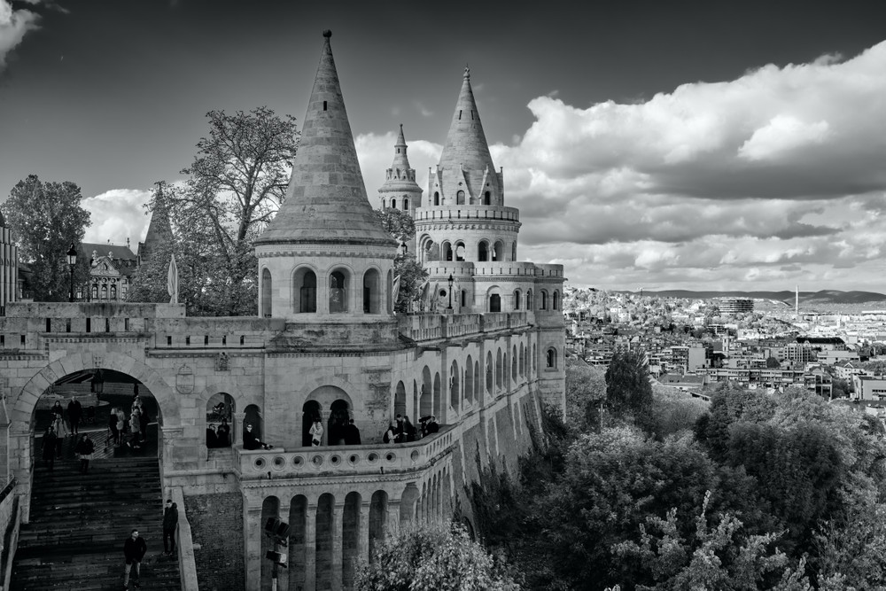 Black and White Potpourri