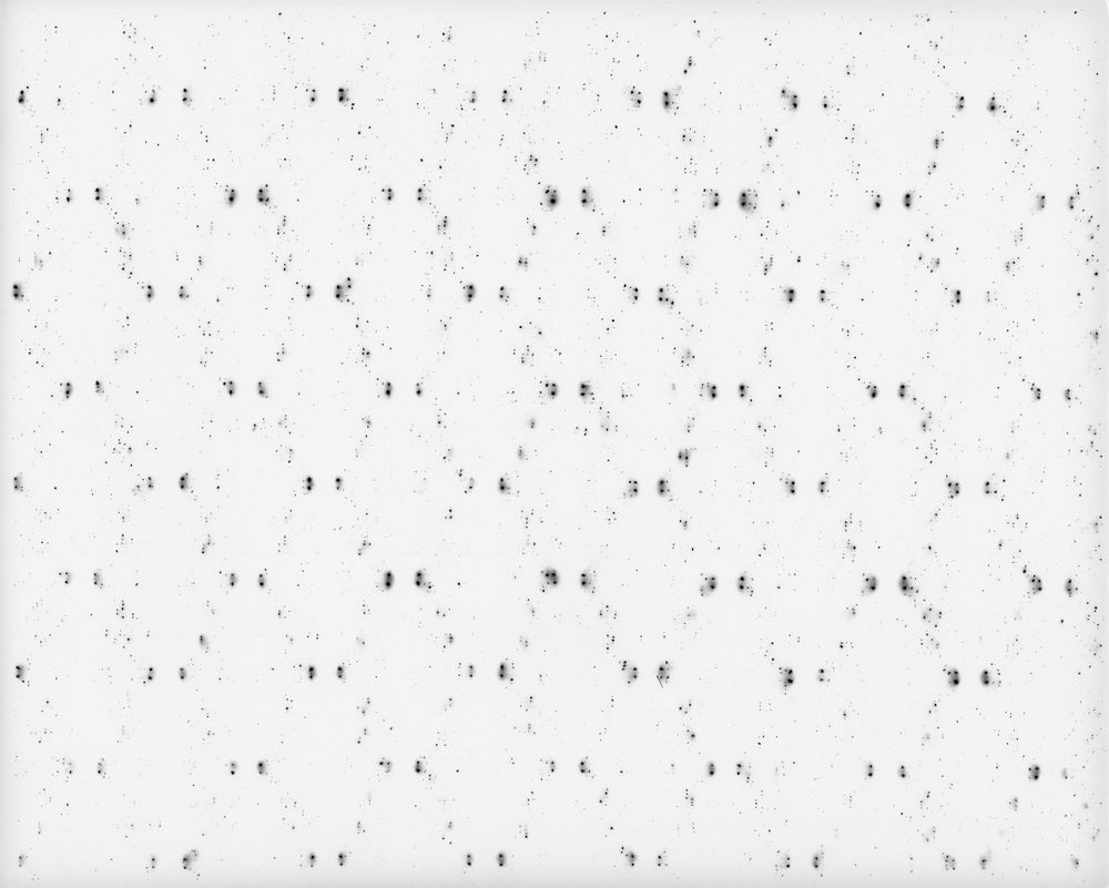 Textile Impressions