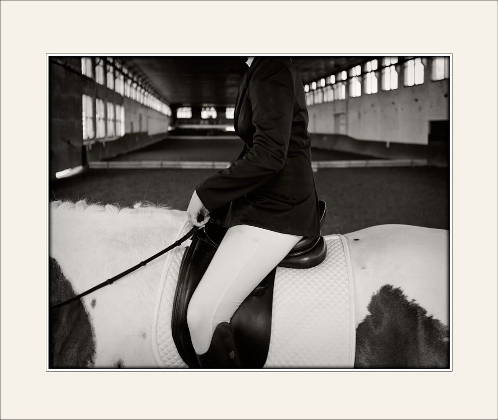 Horses