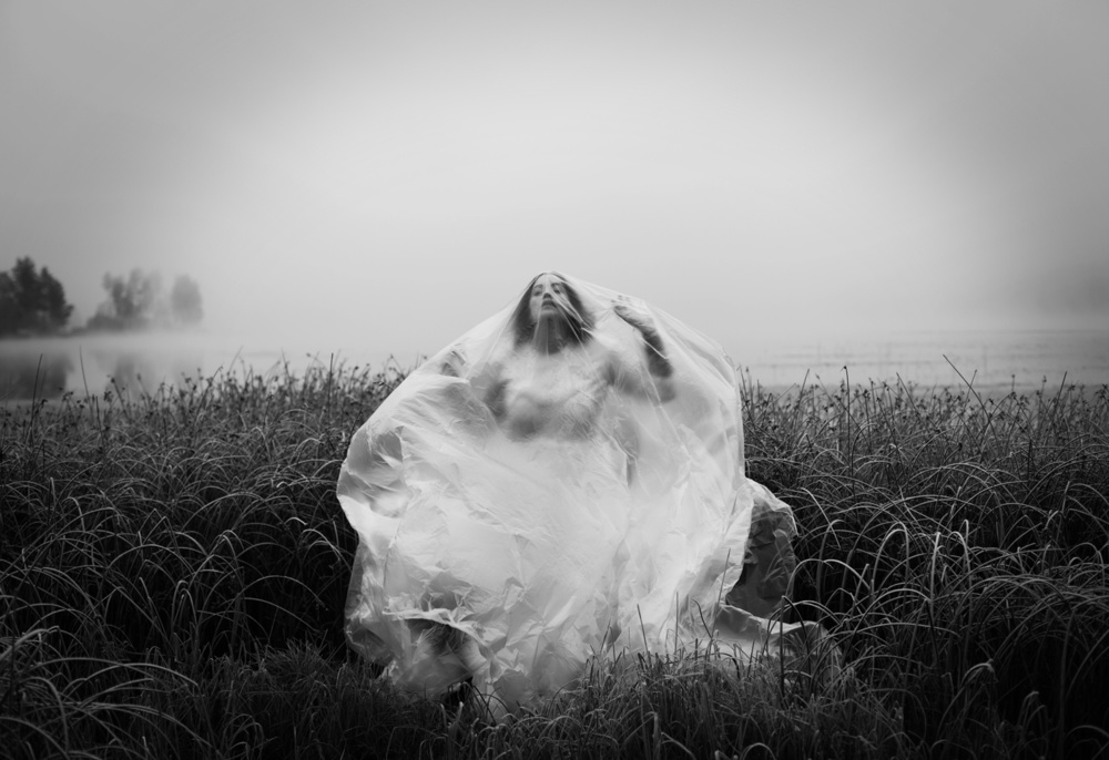 The Veil of Fog