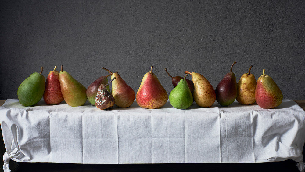 Still Lifes out of time