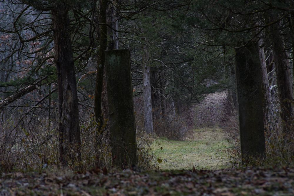 Woodlands and Flatlands