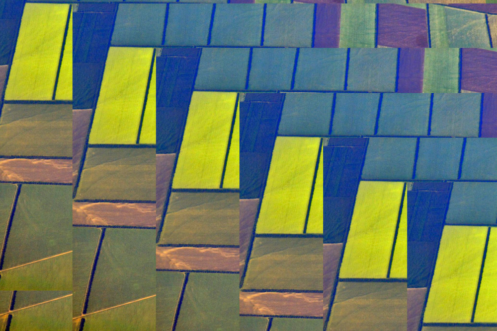 Neoplastic Landscape 