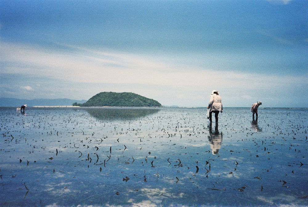 Cockle Pickers