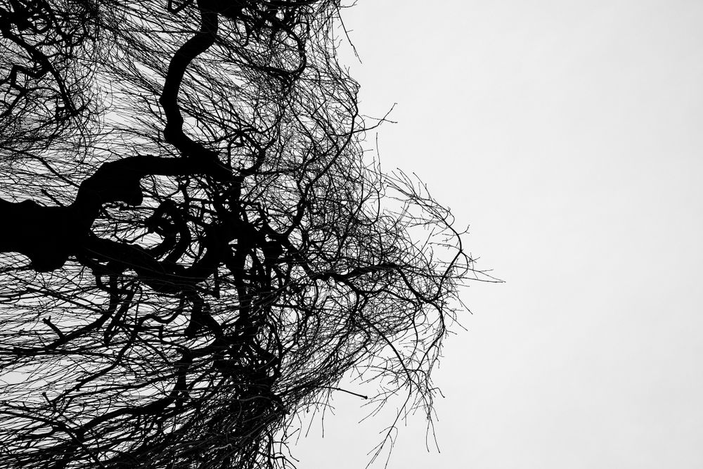 Disturbing Natures