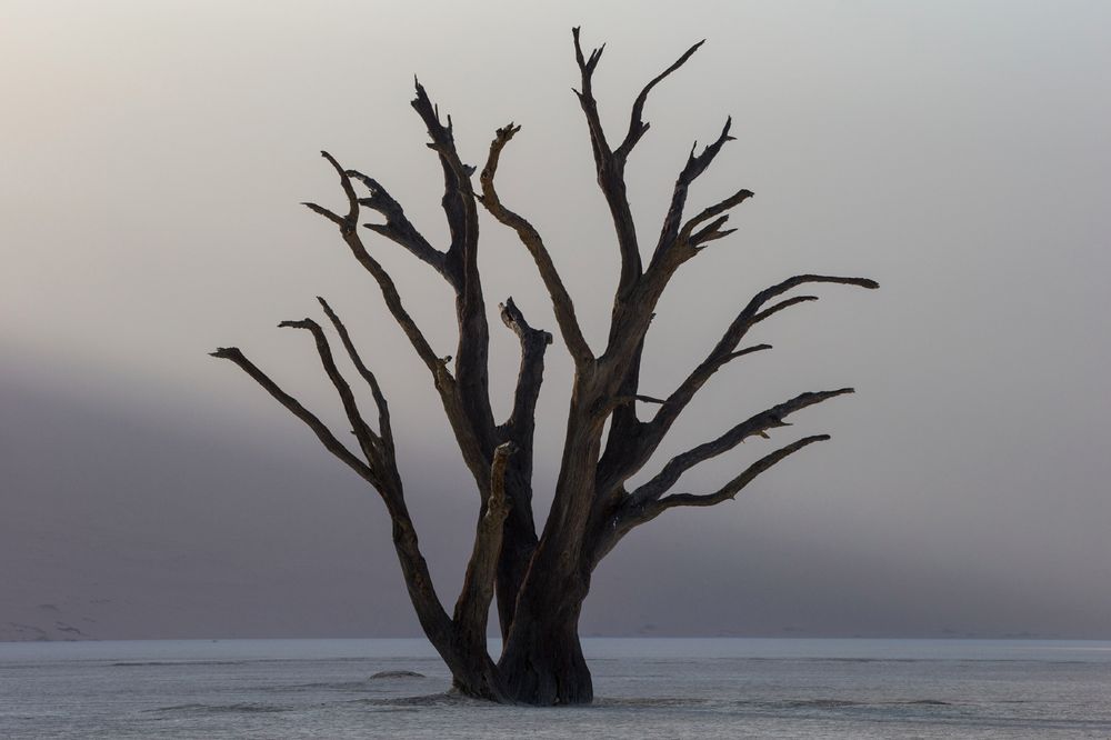 Deadvlei