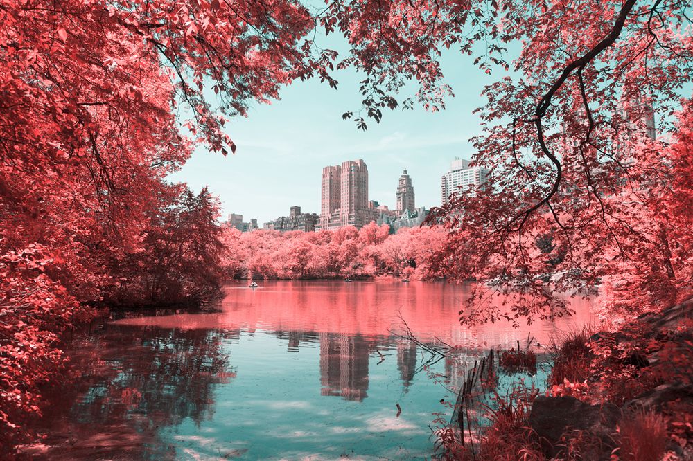 INFRARED NYC