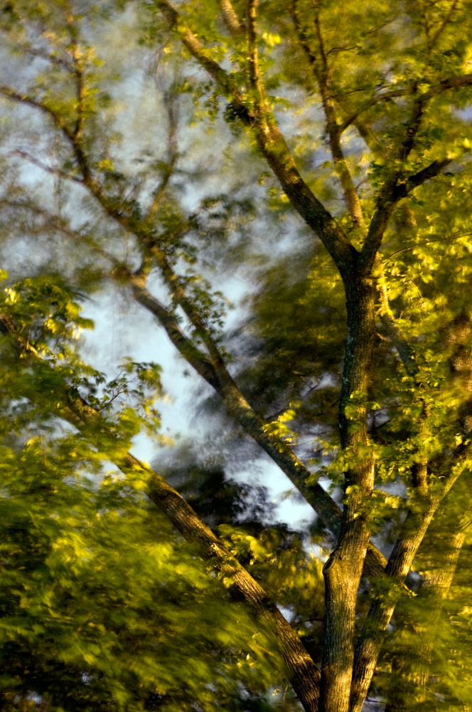 Night Photography