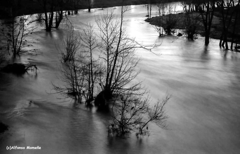 LANDSCAPES 1993-2016